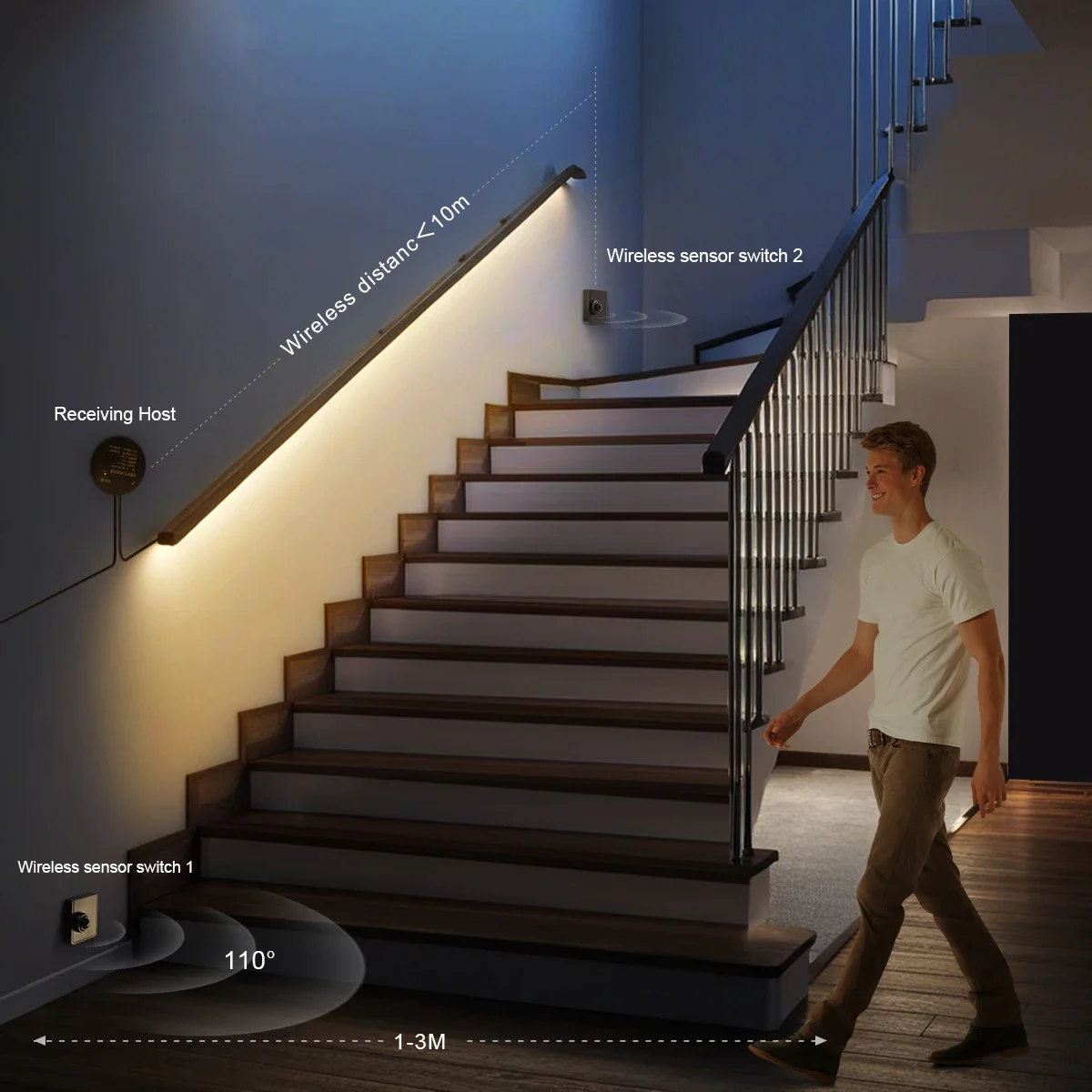 Dual Wireless Moveable PIR Mot - огляд і ціна Ladder Toss Set
